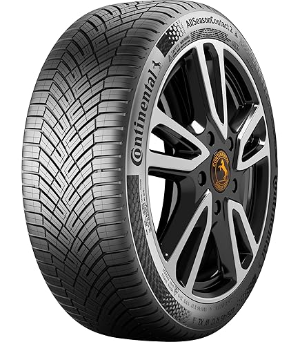 Amazon | セイバーリング〈SEIBERLING〉 SL201｜225/45R19 96W XL｜4本