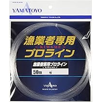 81dO1vpHk9L._AC_UL210_SR210,