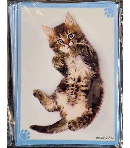 Amazon | ブロッコリーキャラクタースリーブ・ミニ 猫「キラリ