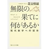 無限の果てに何があるか 現代数学への招待 (角川ソフィア文庫)