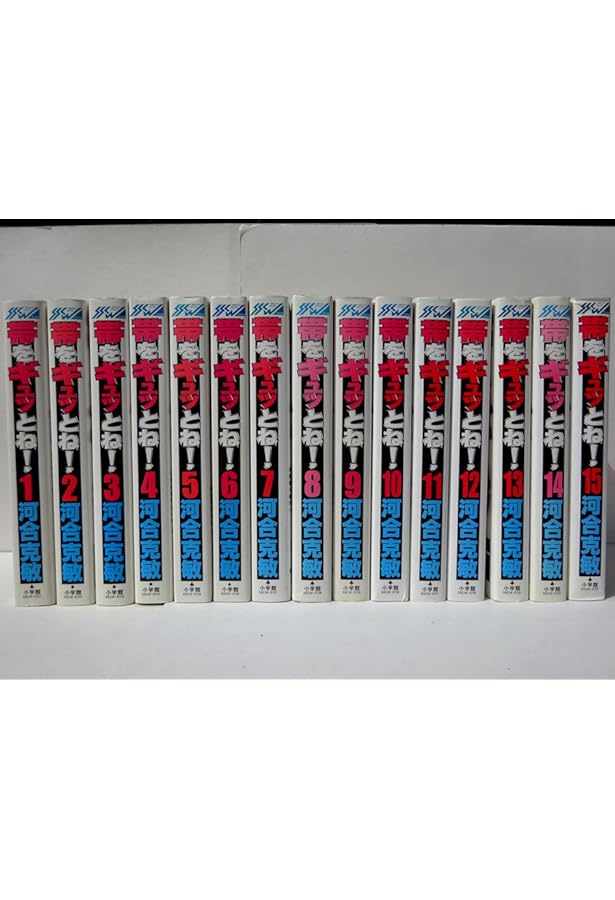 帯をギュッとね 文庫版 コミック 全16巻完結セット (小学館文庫