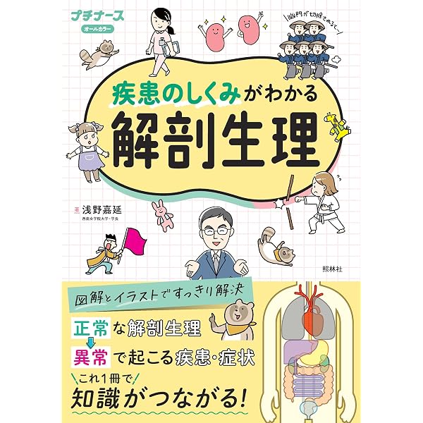 解剖生理学がわかる (ファーストブック) | 飯島 治之 |本 | 通販 | Amazon