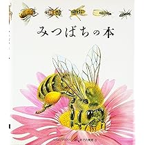 ミツバチのふしぎ 新装版 (科学のアルバム虫 7) | 栗林 慧, 七尾 純