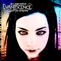 Evanescence『Fallen』 deluxe Edition LP②枚組 Fallen: Amazon.sg: Music