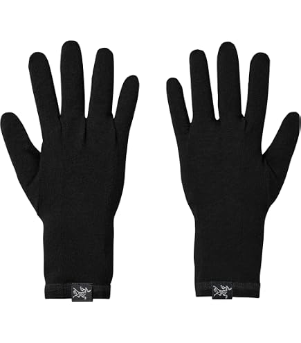 Amazon.co.jp: Arc'teryx Rho グローブ | 合成モイスチャーウィッ