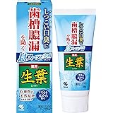 生葉 (しょうよう) 息スーッと実感タイプ 歯槽膿漏を防ぐ 薬用ハミガキ 和漢ハーブの香味 しつこい口臭に 100g 【医薬部外品】