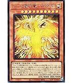 Amazon.co.jp: 遊戯王カード 処刑人－マキュラ(ノーマル) 冥闇の