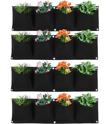 Amazon.co.jp: 20枚 ポットレスコンテナ230 24穴 5.5cm 容量230cc 阪中