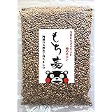 もち麦 熊本産 500g ダイエット 食物繊維 ゴボウの2倍 無農薬栽培 産地直送 真空パック