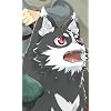 ポチ