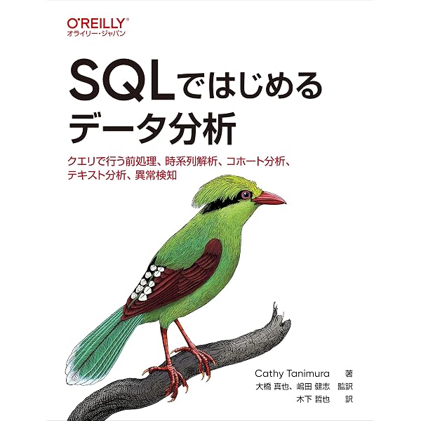 10年戦えるデータ分析入門 SQLを武器にデータ活用時代を生き抜く