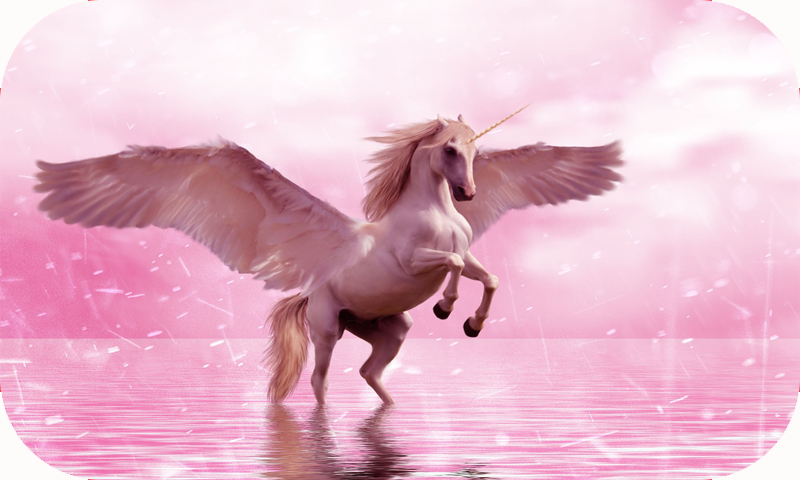 Amazon Co Jp Unicorn Wallpapers Amazon Co Jp Unicorn Wallpapers