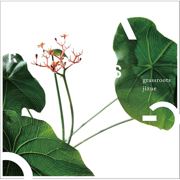 Amazon.co.jp: Seeds: ミュージック
