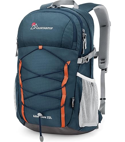 Amazon.co.jp: Wisport ジップフォックス 40L リュックサック RAL 7013