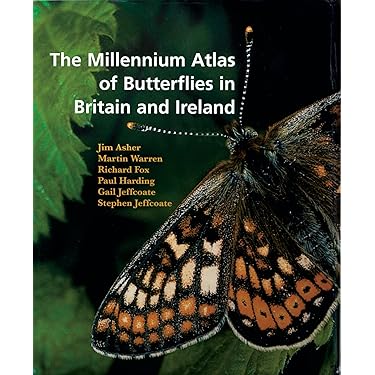 Amazon.co.jp 売れ筋ランキング: Butterflies の中で最も人気のある