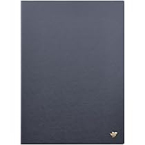 Amazon.co.jp: iFLYTEK AINOTE 2 電子ノート用 ケースカバー 10.65