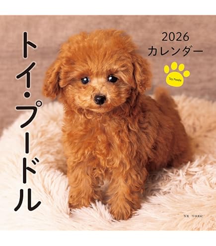 Amazon | 2026年カレンダー プードル川柳(週めくり) | カレンダー
