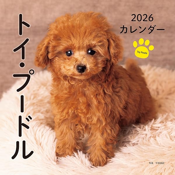 Amazon.co.jp: プードル 2026年 カレンダー / ブラウントラウト 輸入版