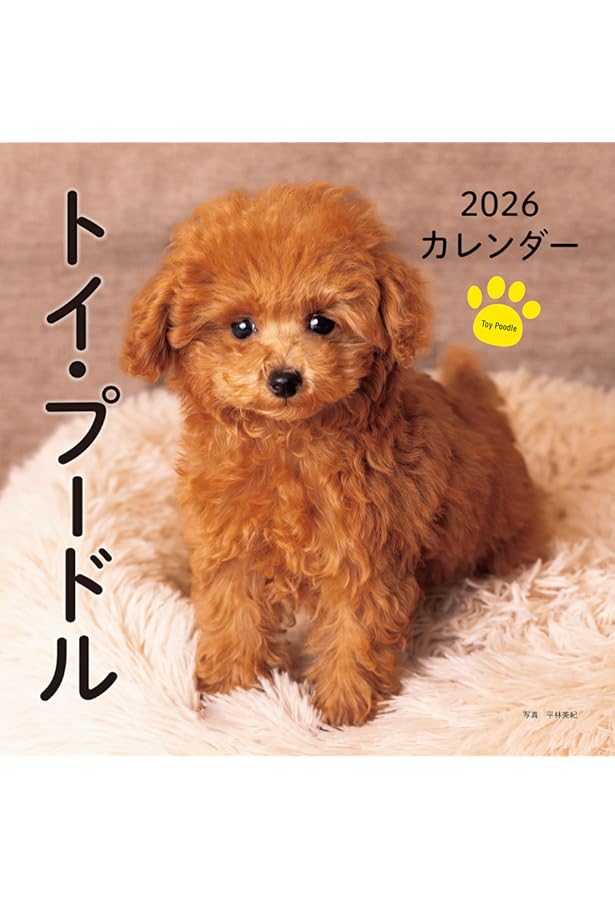 2026年トイプードル見開きアートカレンダー（日本版）: トイプードル