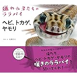 カエル 嫌われ者たちのララバイ 松橋利光 本 通販 Amazon カエル 嫌われ者たちのララバイ 松橋利光 本 通販 Amazon