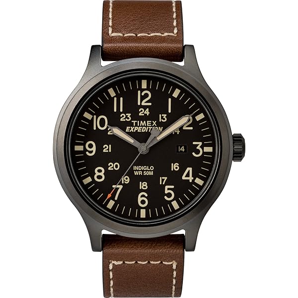 TIMEXタイメックス Amazon.co.jp: Timex Men's Expedition Northfield Post