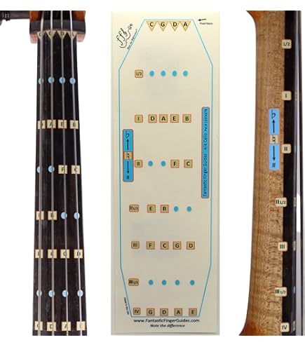 Amazon | JinQu 4/4 チェロ弦セット フルセット (A-D-G-C) 弦 スチール