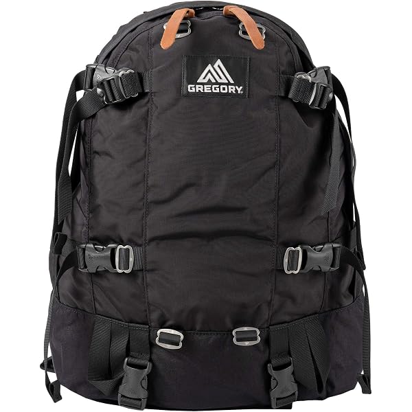 Amazon.co.jp: [グレゴリー] Backpacks デイアンドハーフパック 