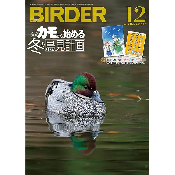 BIRDER 2015年12月号〜2020年12月号 計61冊セット　バーダー　文一総合出版　雑誌　まとめ売り BIRDER | 12月号 文一 計61冊セット 雑誌&frasl;電子書籍&frasl;定期購読の