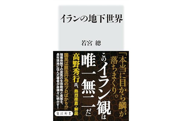 イランの地下世界 (角川新書)