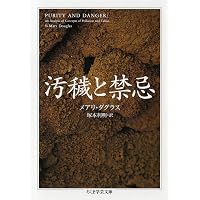 Amazon.co.jp: 声の文化と文字の文化〈普及版〉 : W・J・オング, 桜井