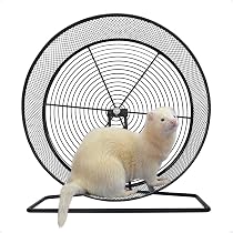 Amazon.co.jp: eモンズ 小動物用ホイール 【 メタルフレームレス 38
