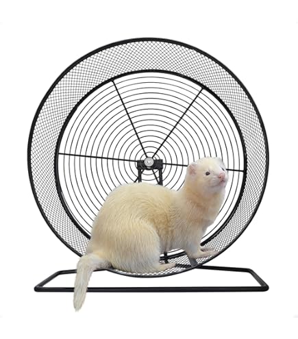 Amazon.co.jp: Exsotic トレッドミルホイール 直径36cm 床置き式の回し