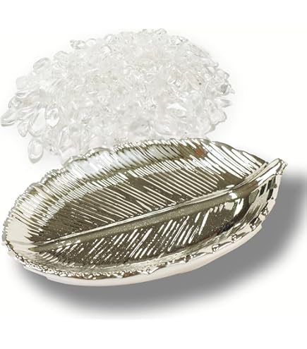 Amazon.co.jp: gannbarou 飾り皿 飾皿 絵皿 置物 海外 土産 セラミック