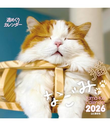Amazon | 日めくりニャンコ！2025年(卓上日めくりカレンダー猫版) 本体