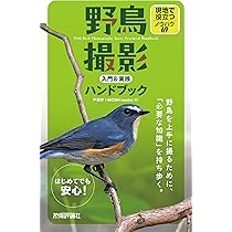 81eYbHNEzfL._AC_UL210_SR210,