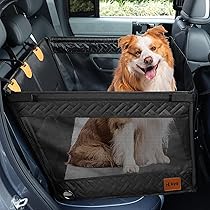 81eZSmAQVOL._AC_UL210_SR210,