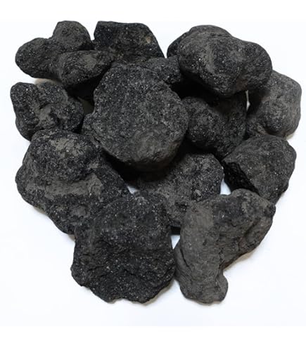 Amazon | 高濾過溶岩 国産中型溶岩石 8~15cm 25個セット 黒系 60cm水槽