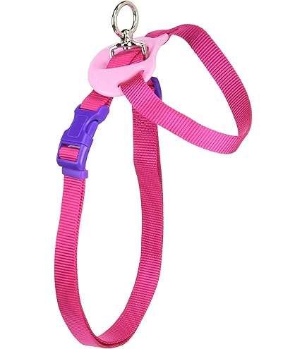 Amazon | DISUKI(ダイスキ) リフアン反射ハーネス S(小型犬用) 青