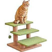 81eibMzTYHL._AC_UL210_SR210,