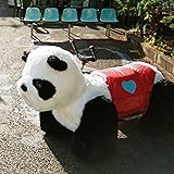 またね / THE SONG (通常盤)