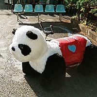 Amazon.co.jp: 純異性交遊: ミュージック