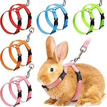 bunny leash amazon
