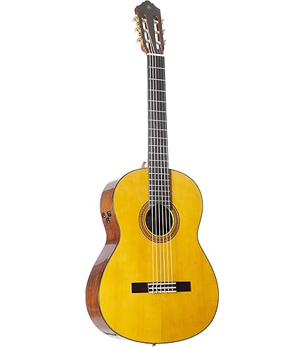 Amazon | ヤマハ FS-TA コンサートサイズ トランスアコースティック