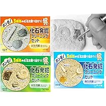 古生物/化石セット 71YVpcyEIOL._AC_UF350,