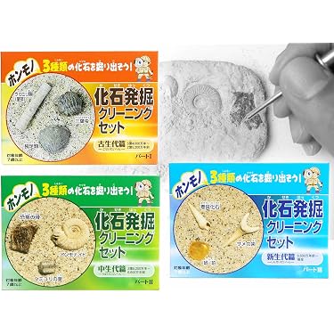 Amazon.co.jp ほしい物ランキング: 化石・発掘の実験・科学 で、ほしい