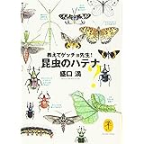教えてゲッチョ先生! 昆虫のハテナ (ヤマケイ文庫)