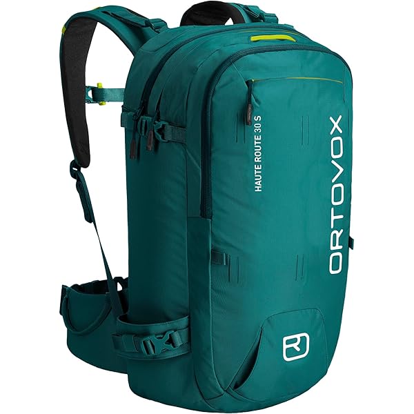 Amazon.co.jp: OSPREY(オスプレー) キャンバー30 OS52300
