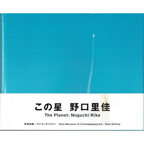 鳥を見る | 野口 里佳 |本 | 通販 | Amazon