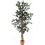 不二貿易 フェイクグリーン インテリアグリーン 人工観葉植物 幅60×奥行60×高さ150cm フィカスA 6号鉢 大型 52661
