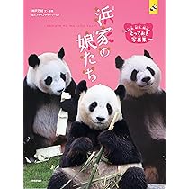 Amazon.co.jp限定】浜家の娘たち ～結浜、彩浜、楓浜のとっておき写真